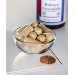 Kidney Essentials