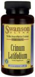 Crinum Latifolium