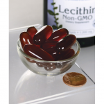 Lecithin Nicht-GMO