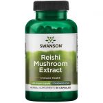 Reishi Mushroom Extract - Standardized