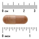 Cats Claw