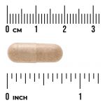 Ginkgo biloba con vinpocetine(standardizzato)