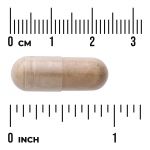 Hommes Avena sativa