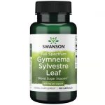Blätter aus Gymnema Sylvestre