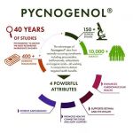 Pycnogenol