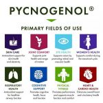 Pycnogenol