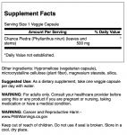 Chanca Piedra Phyllanthus niruri