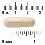 Full Spectrum Wild Yam