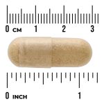 Asparagus Young Shoots