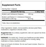 Mullien Leaf Extract - Standardized