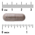 Mullien Leaf Extract - Standardized