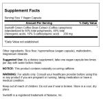 Svetol Green Coffee Bean Extract