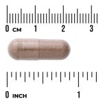 Saw Palmetto