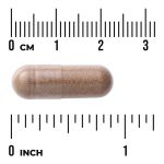 Saw Palmetto (Sägepalme)