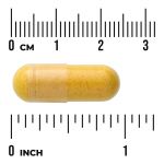 Curcuma   