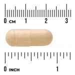 Ginseng coréen