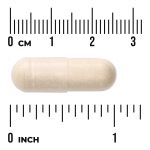 Saccharomyces Boulardii