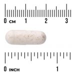 Lactobacillus Gasseri
