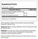 Ginger Root (Standardized)