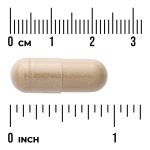 Ginger Root (Standardized)