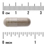 Bacopa Monnieri Extract BaCognize