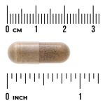 Ashwagandha Extract - Standardized