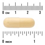 Arabinogalactan aus Lärchen